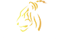 Anno Danini Limited